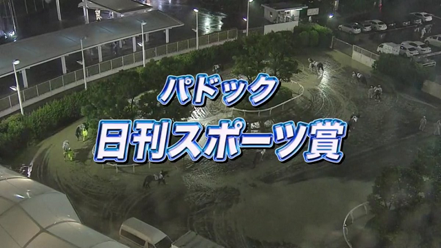 大井競馬場20160714.png