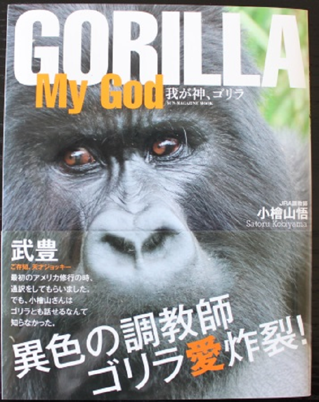 GOLILLAMYGOD.png